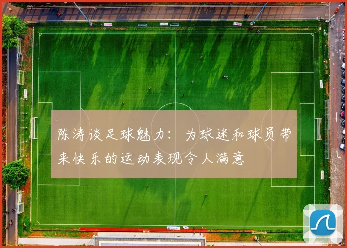 陈涛谈足球魅力：为球迷和球员带来快乐的运动表现令人满意