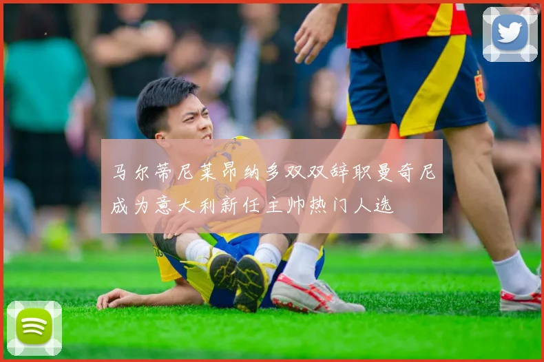马尔蒂尼莱昂纳多双双辞职曼奇尼成为意大利新任主帅热门人选