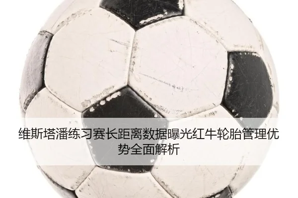 维斯塔潘练习赛长距离数据曝光红牛轮胎管理优势全面解析